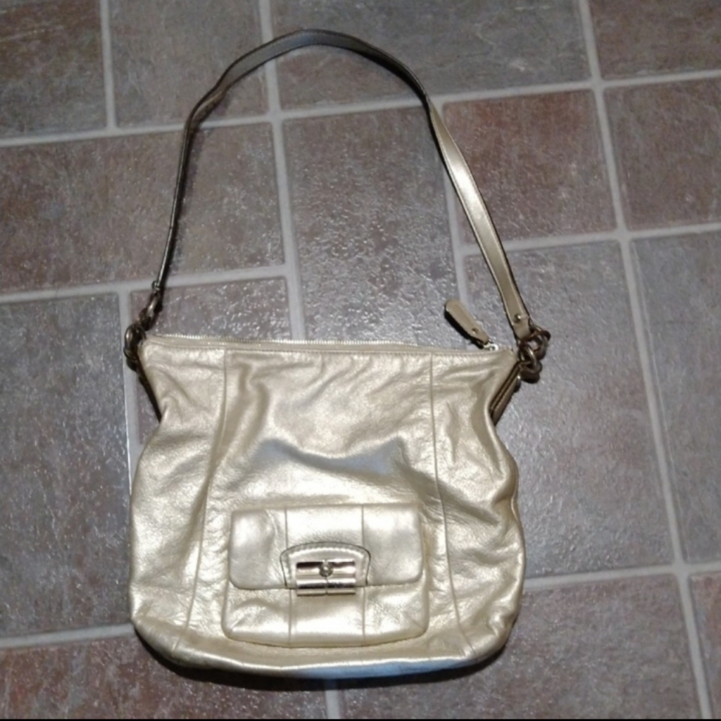 Coach Large Silver Crossbody All Leather Bag